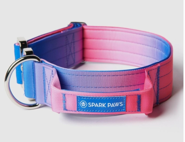 Tactical Dog Collar-Snow Cone 1.5/3.8cm