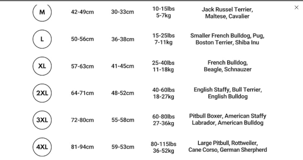 Spark Paws 90's Retro Sky Dye Hoodie