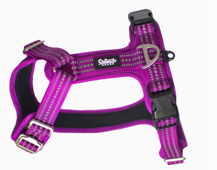 Outback Hound Purple Harness