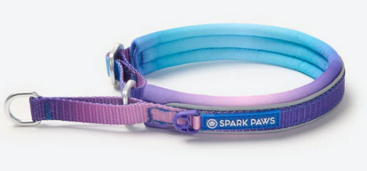 Cushioned Martingale Collar-90s Retro