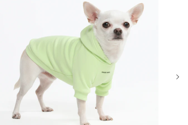 Essential Dog Hoodie-Honey Dew