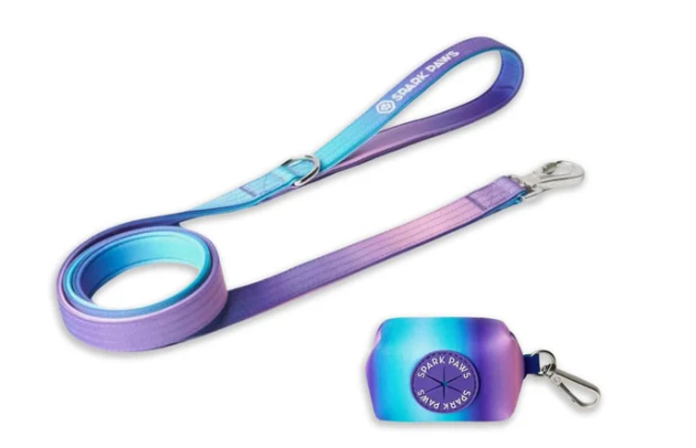 Leash and Poop Bag Holder Set-90s Retro