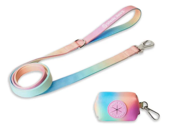 Leash and Poop Bag Holder Set-Pastel Icing