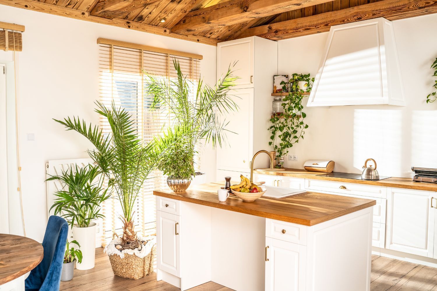 Bright, sunlit kitchen with white cabinets, a wooden island, and large potted plants.