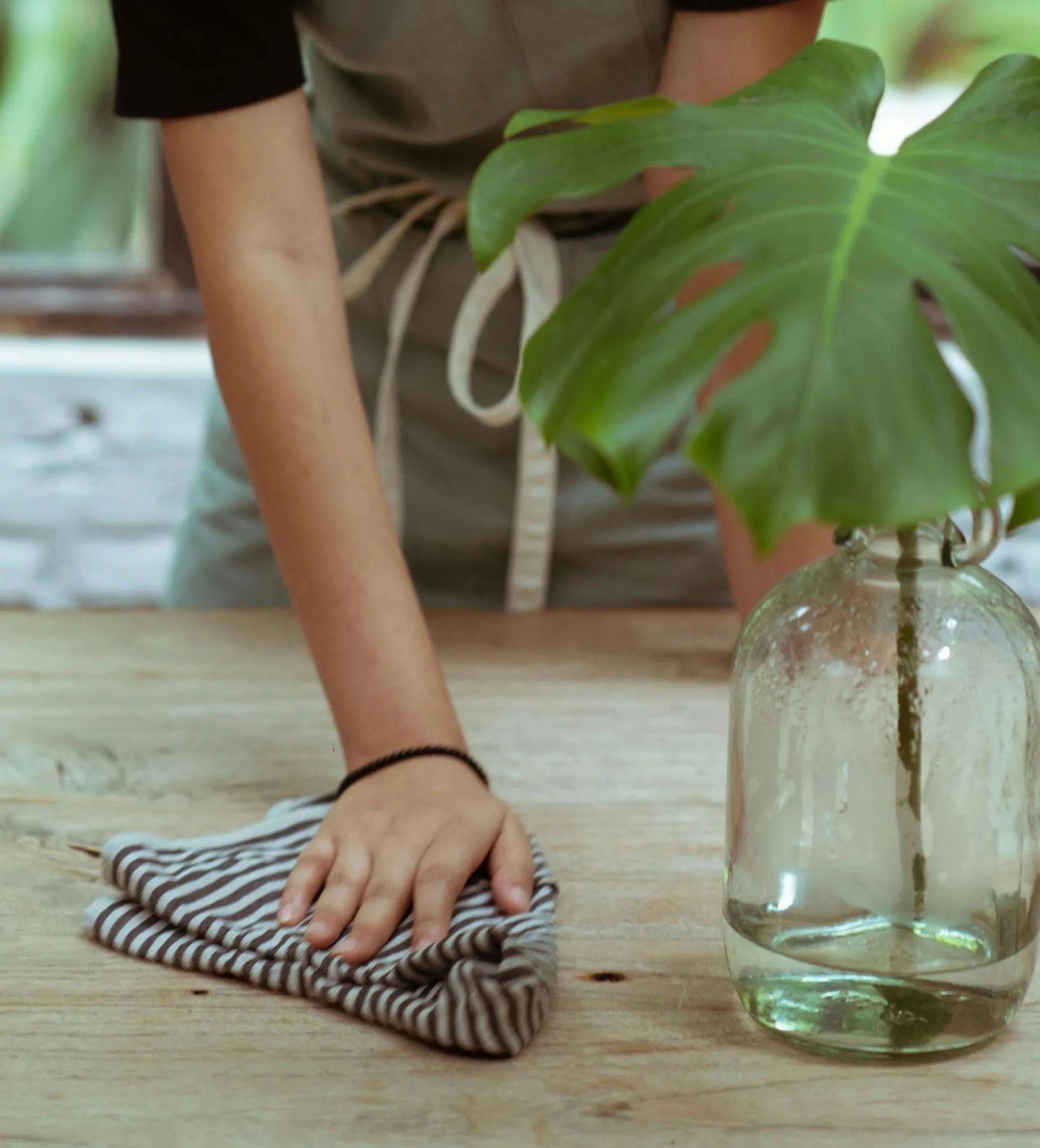 Person wiping a wooden table with a striped cloth, next to a vase with a large green plant.