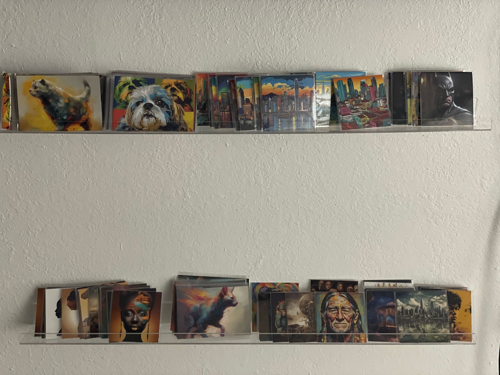 Two shelves filled with pictures of animals and people