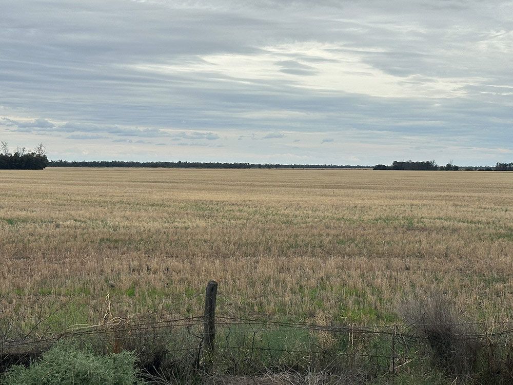 A Large Field With A Fence In The Foreground And Trees In The Background — Brown & Co Finance in Miles, QLD