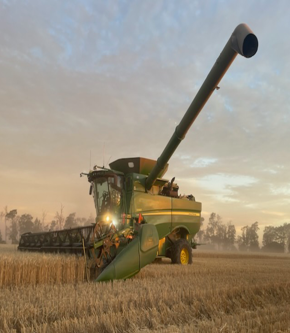 Wheat harvester reaping crops— Brown & Co Finance in Toowoomba, QLD