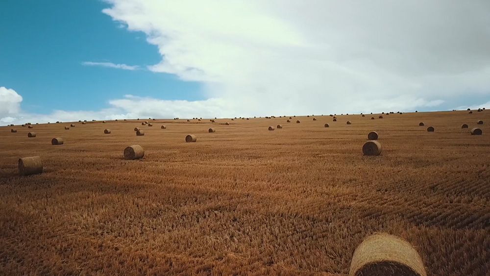 There Are Many Bales Of Hay In The Middle Of A Field — Brown & Co Finance in Toowoomba, QLD
