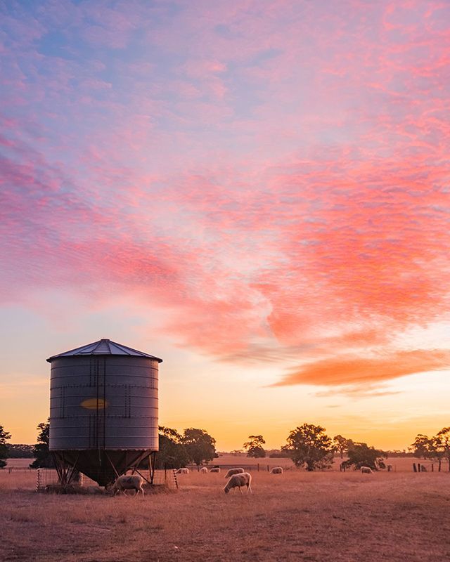 There Is A Silo In The Middle Of A Field At Sunset — Brown & Co Finance in Stanthorpe, QLD