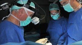 intervento andrologia