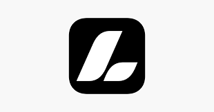 The letter l is in a black square on a white background.