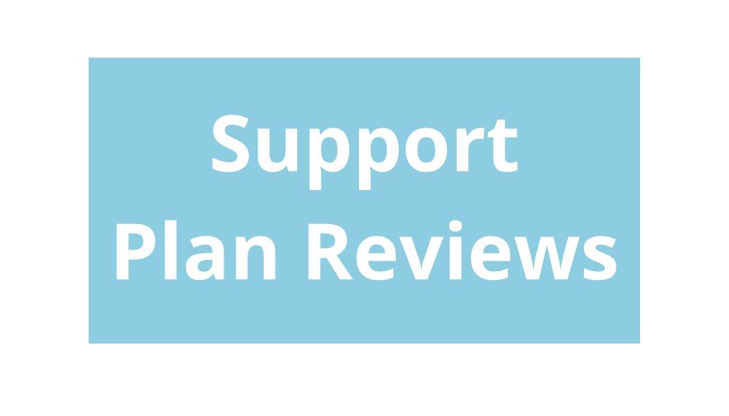 support plan reviews