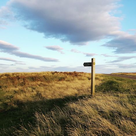 A path sign in the middle of a field in Yorkshire