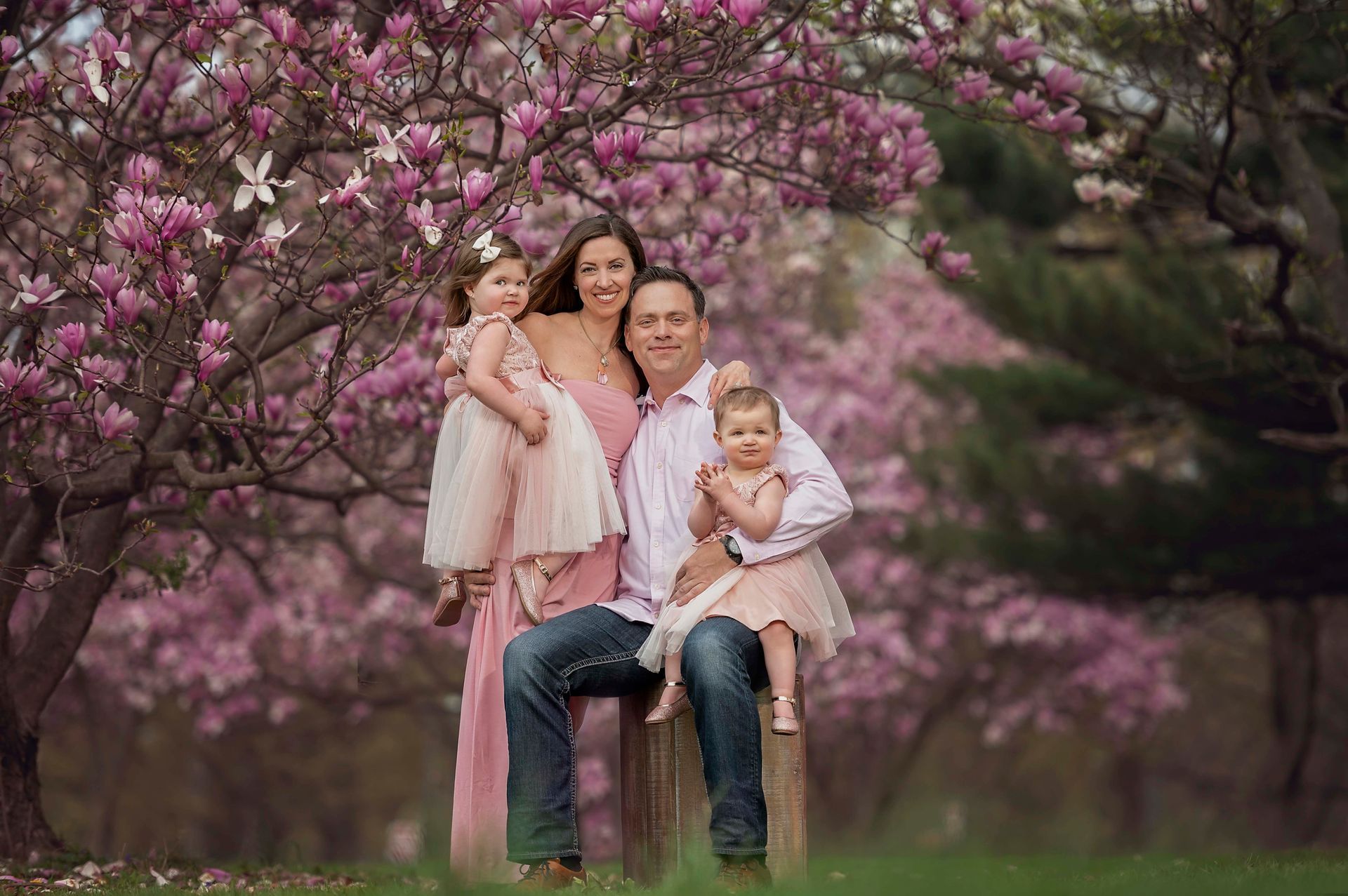Family of four posing under blooming pink trees.