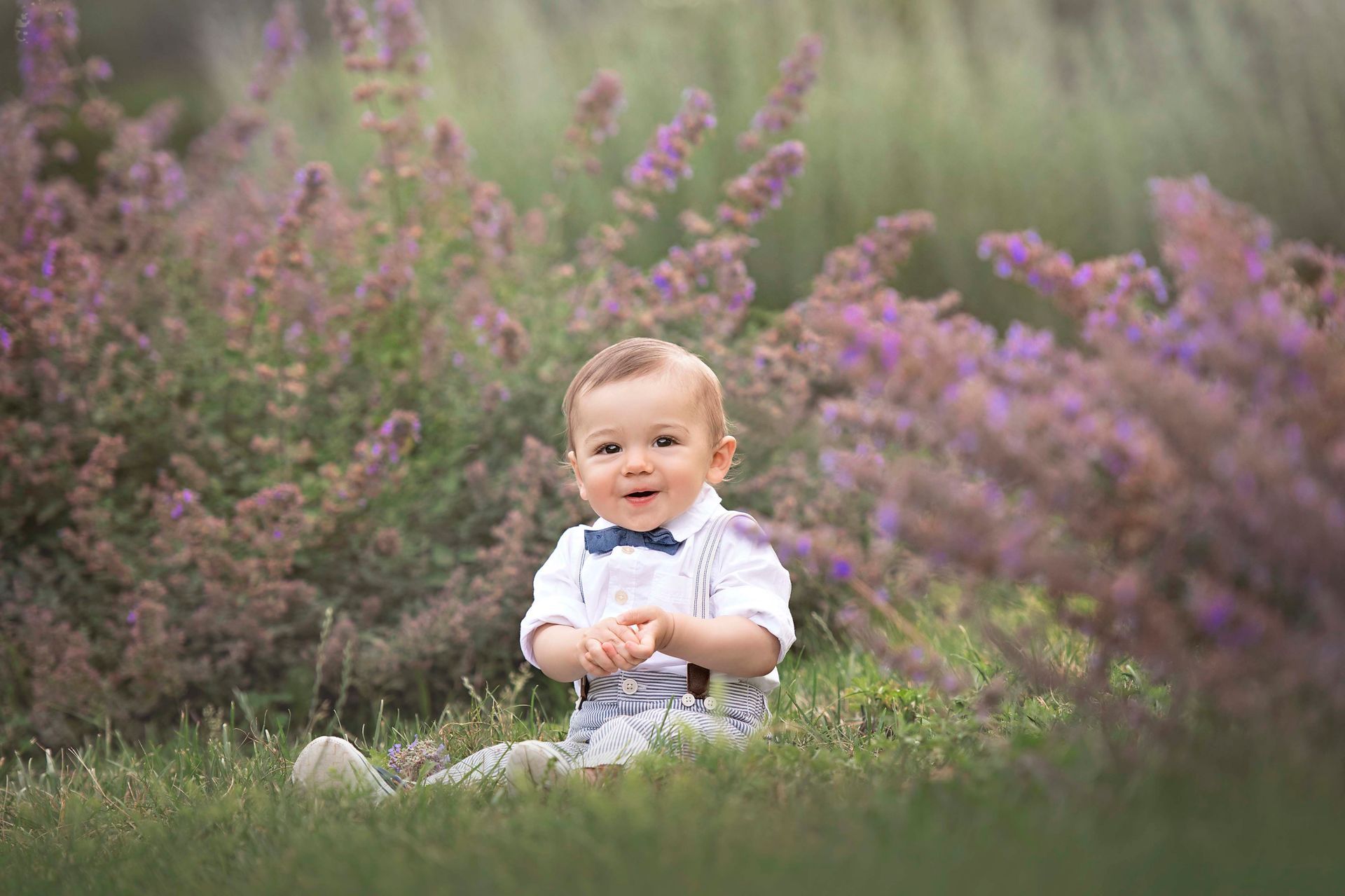 Smiling baby, sitting in lavender field, wearing suspenders and bow tie.