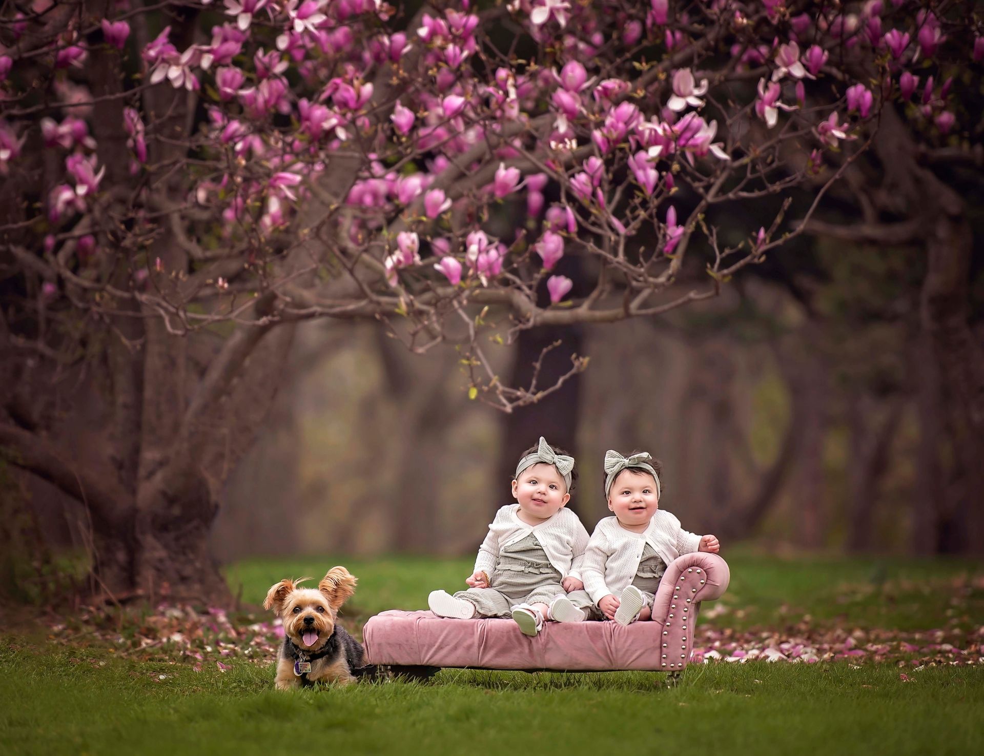 Twin babies in matching outfits sit on a pink chaise lounge with a dog; pink flowering tree in background.
