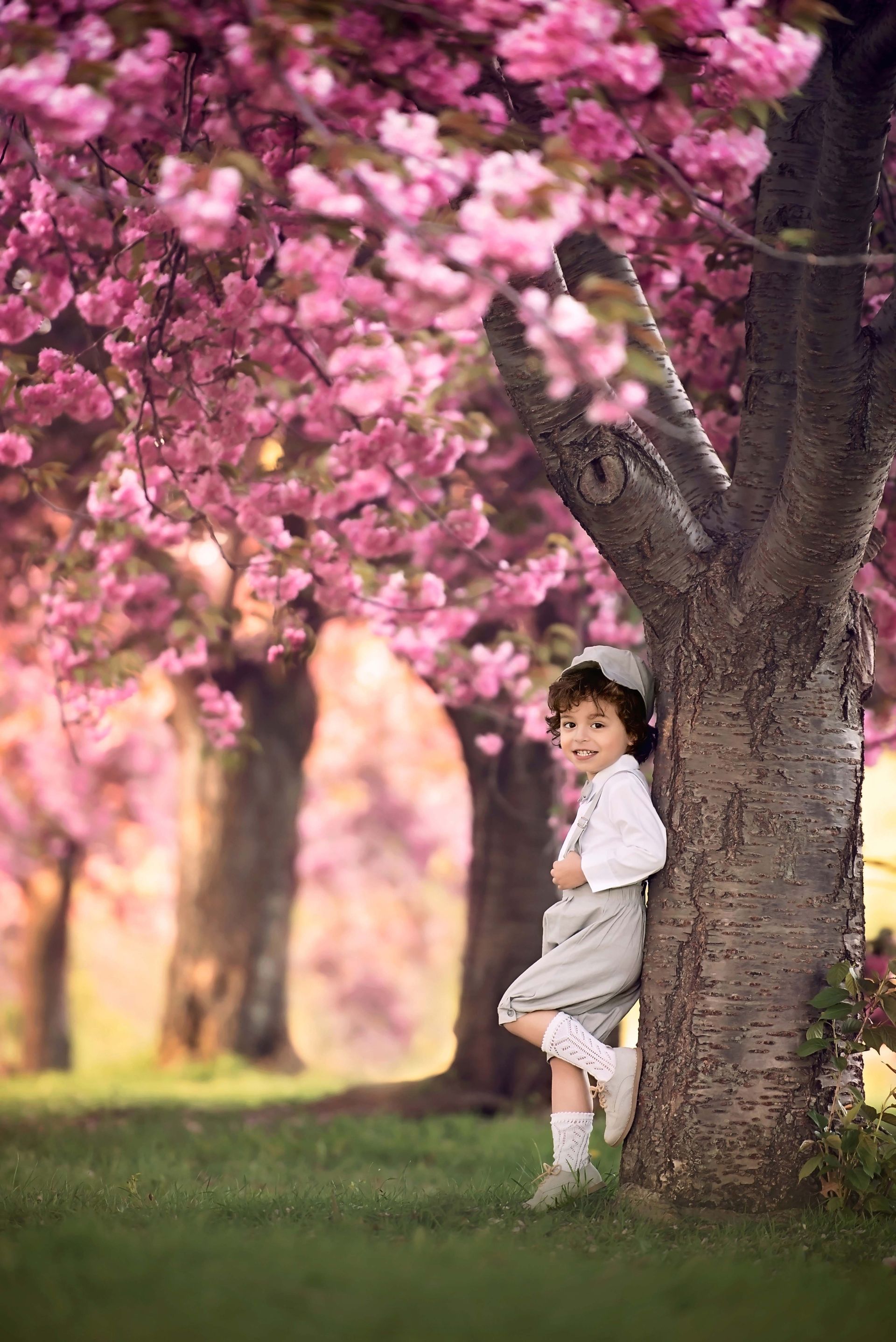 Boy in gray shorts and white top leans against cherry tree with pink blossoms.