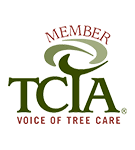 The tcia logo is a member of the voice of tree care.