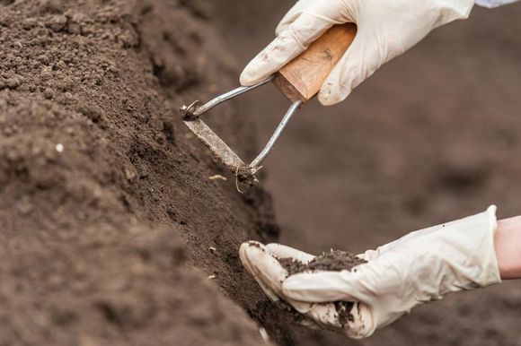 Testing dirt