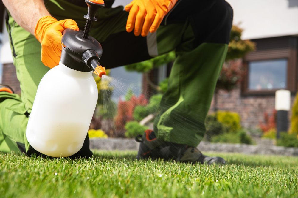 Person in orange gloves kneeling, spraying pesticide on a green lawn near a house.