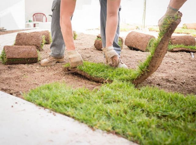 Two people laying sod rolls on prepared soil, outdoors.