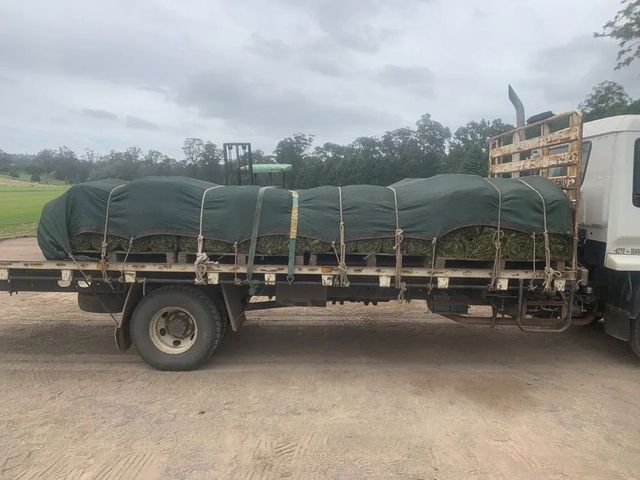 Truck bed loaded with covered items on a cloudy day.