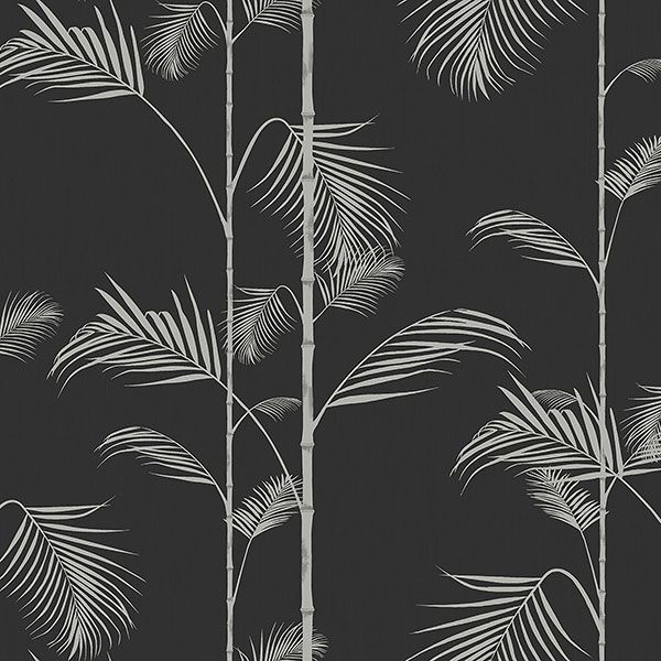 a black background with white palm leaves on it