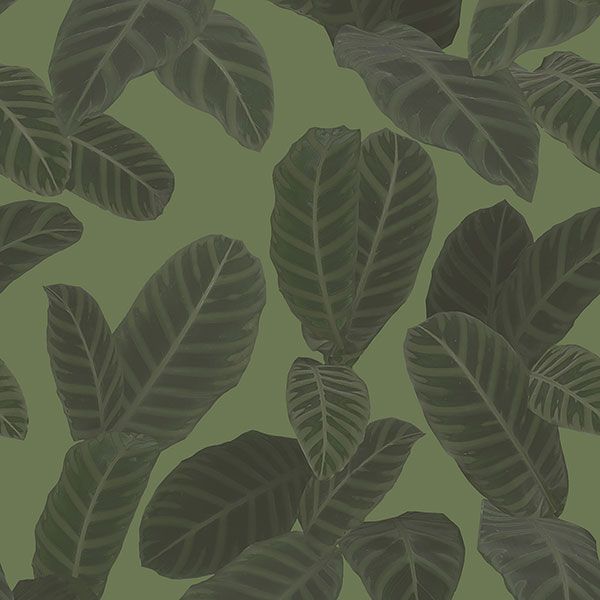 a seamless pattern of leaves on a green background