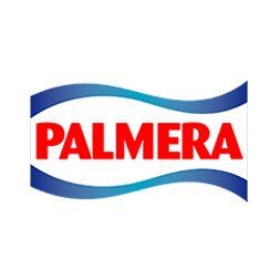 logo palmera