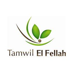 logo tamwil el fellah