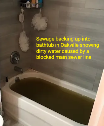 Sewage backing up into bathtub in Oakville showing dirty water caused by a blocked main sewer line