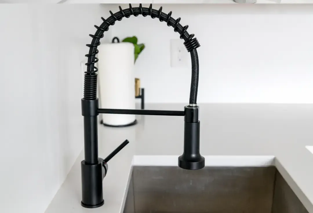 Black kitchen faucet with a spring design over a stainless steel sink, paper towel holder in the background.