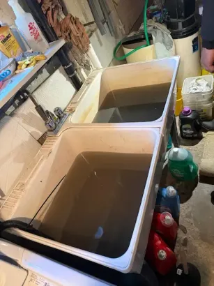 Laundry sink clogged in Oakville causing dirty water backup and drainage issue