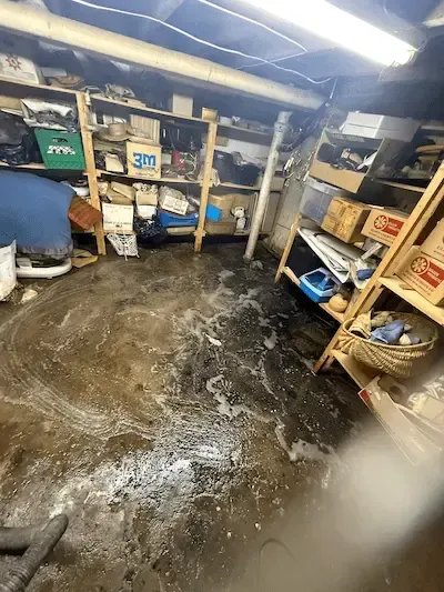 Emergency plumber oakville responding to basement sewage backup flooding caused by blocked main drain to prevent severe property damage