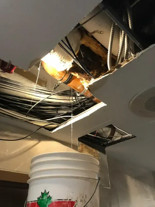 Oakville plumber performing ceiling leak investigation in a condominium, exposing pipes and using bu