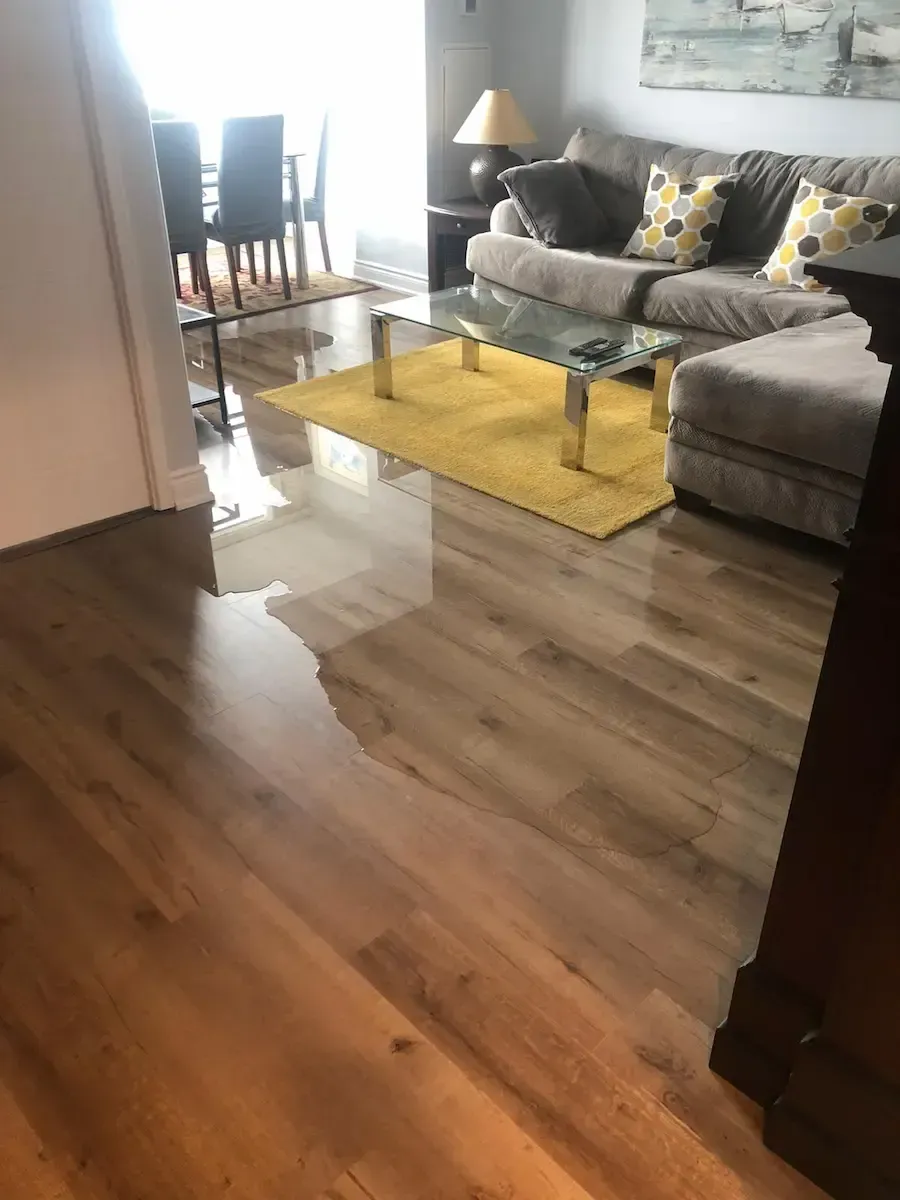 Water damage on living room hardwood floor in Oakville home caused by bathtub drain leak – 17 Plumbing & Construction Design Ltd performing leak investigation.