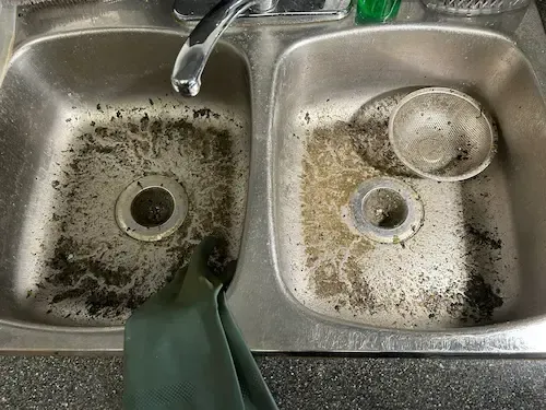 Kitchen sink backing up with sewage water.