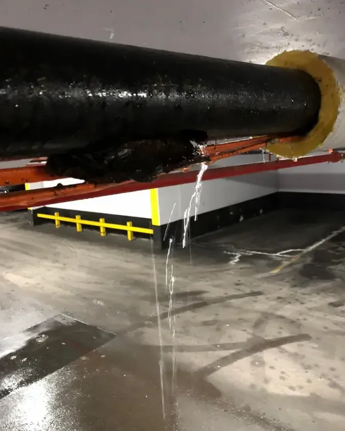 Emergency pipe repair in Oakville after sewer backup and water pooling