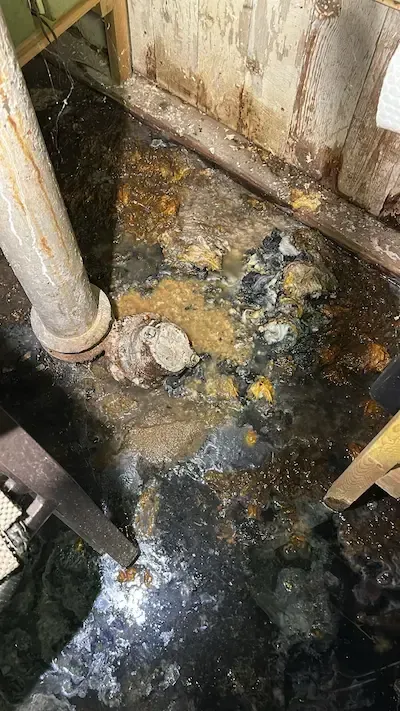 Sewage backing up in a residential basement in Oakville due to a blocked sewer line. Standing wastewater and debris visible around floor drain and plumbing stack. Emergency plumbing service required to clear blockage and prevent further basement flooding.