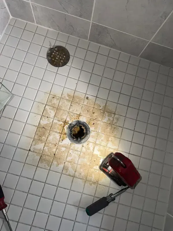 Sewage backing up in shower drain in Oakville due to main sewer line blockage being cleared with pro