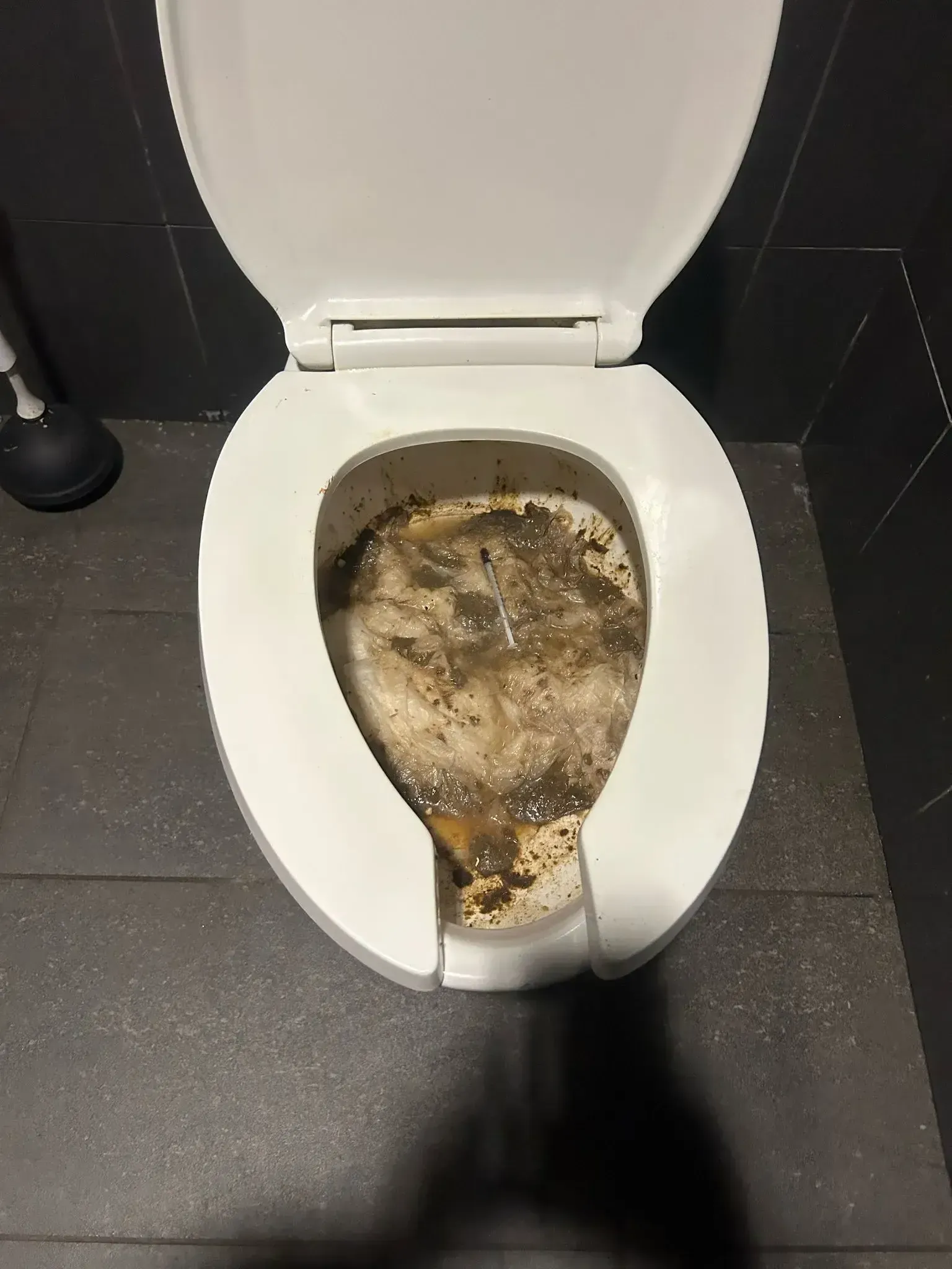 toilet clogged