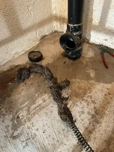 Tree roots removed from a clogged main drain during professional sewer line cleaning in Burlington b