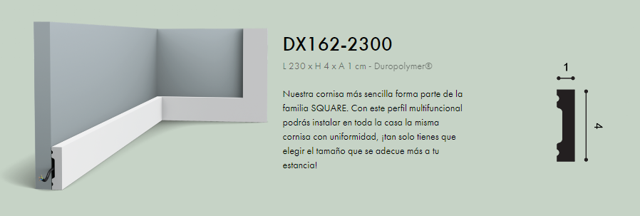 DISTRIBUIDORA BROWN S.R.L.