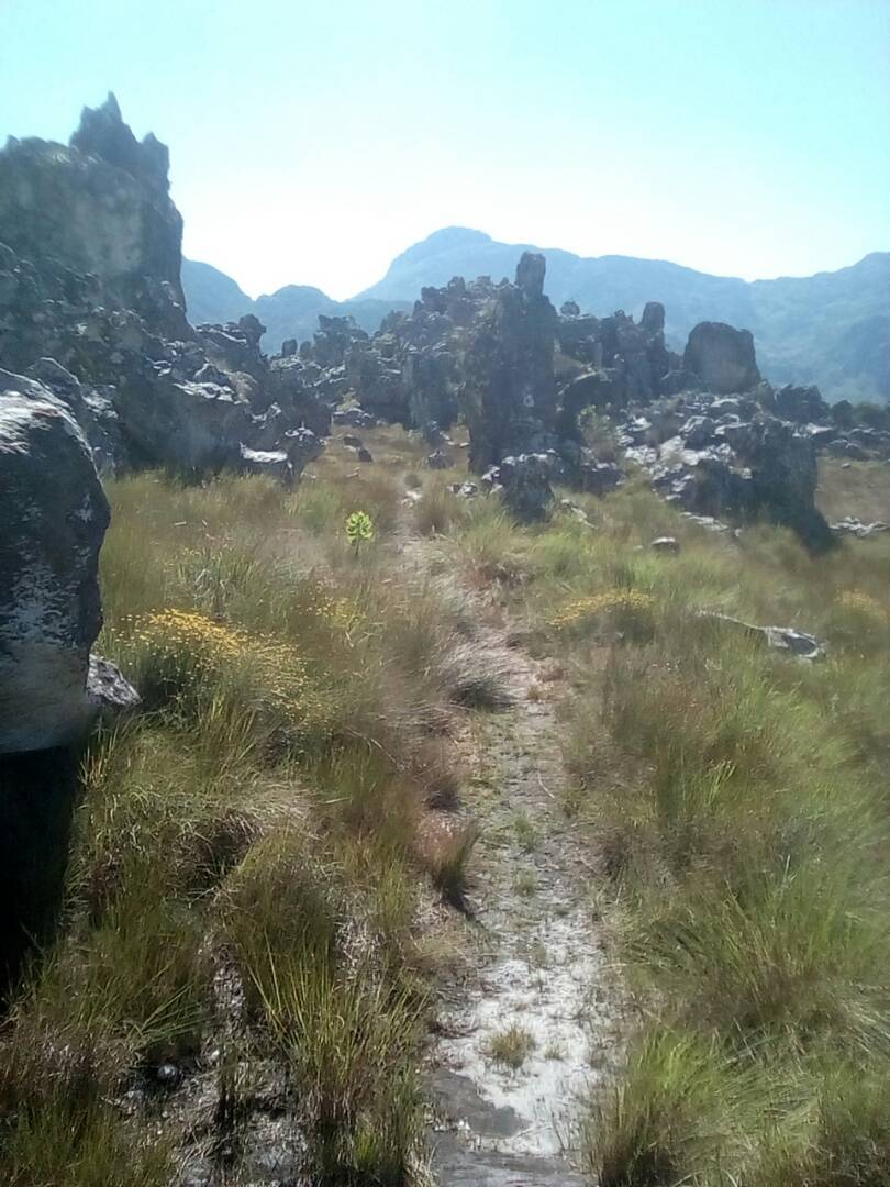 Walking and hiking in Zimbabwe