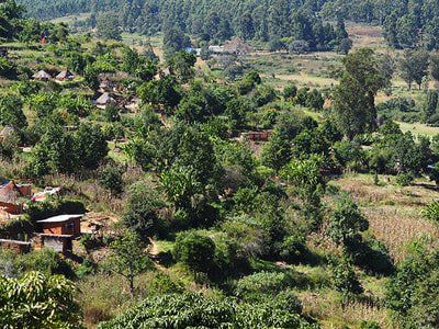 Visit Chimanimani Village and learn about our culture and ways of life