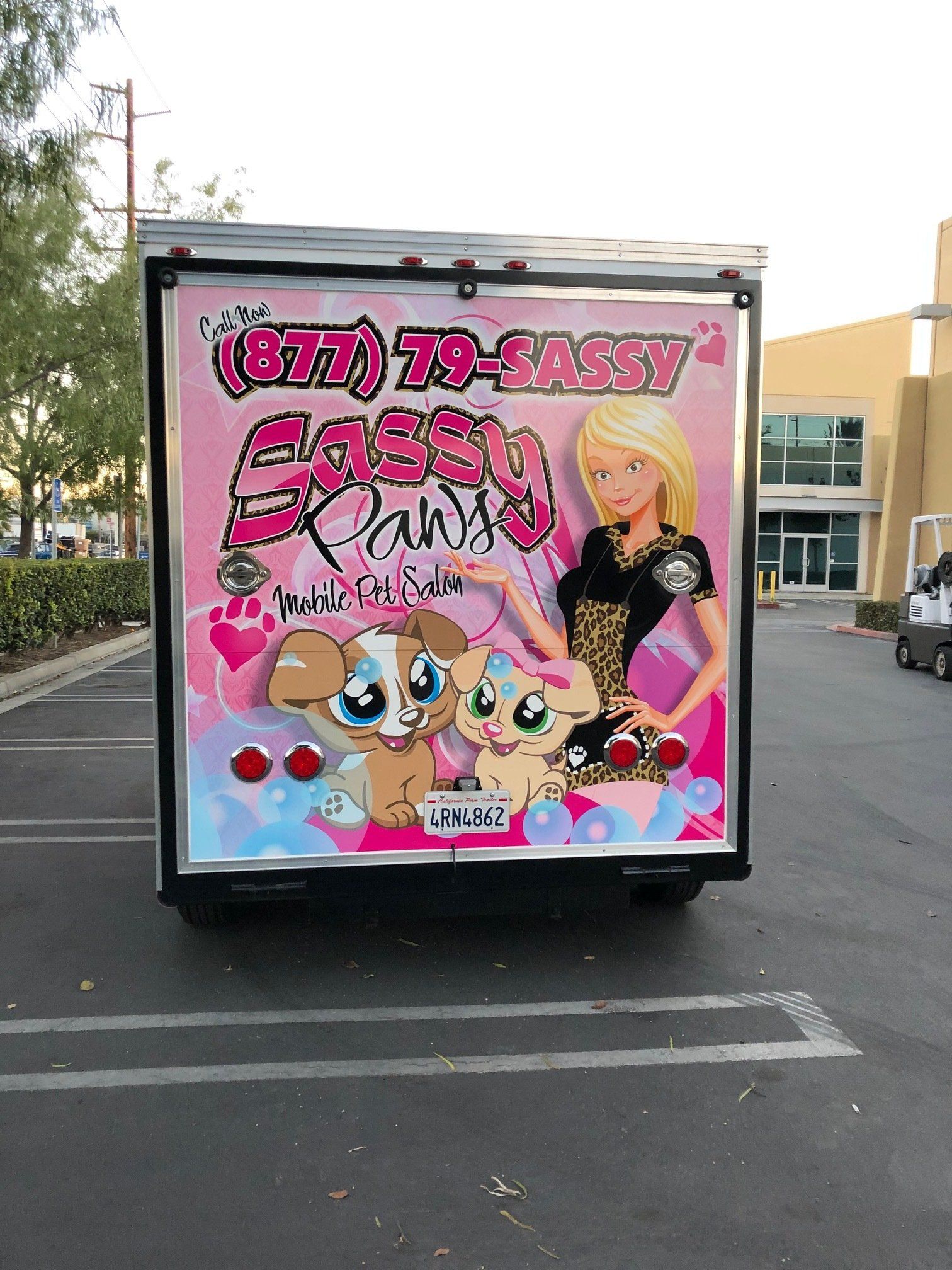 Mobile Pet Grooming — Custom Mobile Pet Grooming in Anaheim, CA