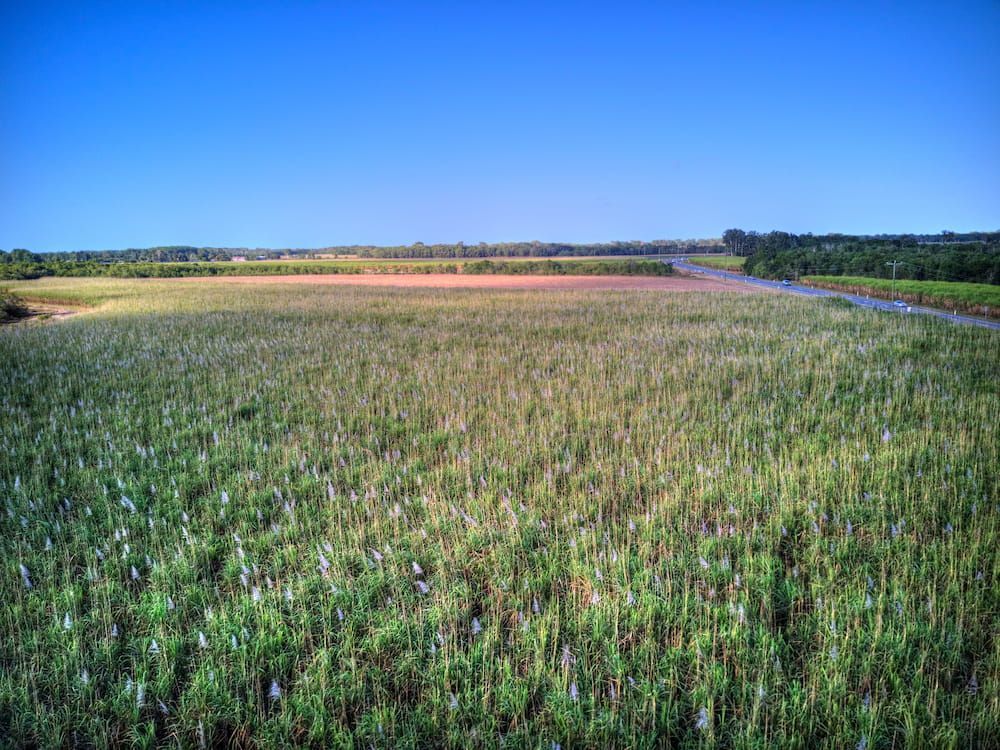 An Aerial View of a Lush Green Field With a River in the Background — Care FNQ Pty Ltd in Smithfield, QLD