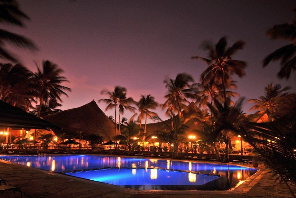A swimming pool is lit up at night with palm trees in the background