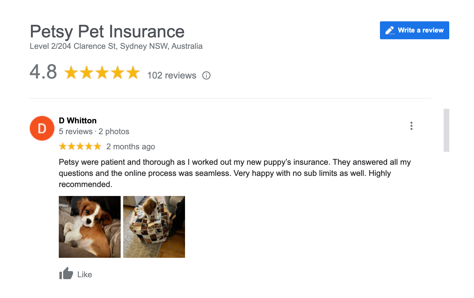 image of google reviews of petsy pet insurance